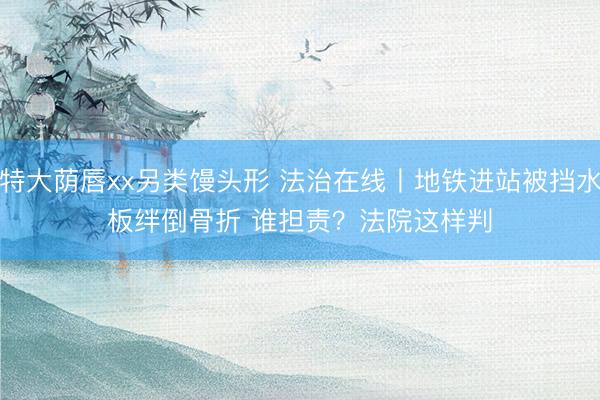 特大荫唇xx另类馒头形 法治在线丨地铁进站被挡水板绊倒骨折 谁担责？法院这样判
