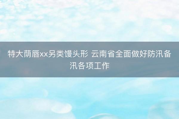 特大荫唇xx另类馒头形 云南省全面做好防汛备汛各项工作
