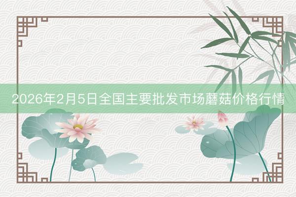2026年2月5日全国主要批发市场蘑菇价格行情