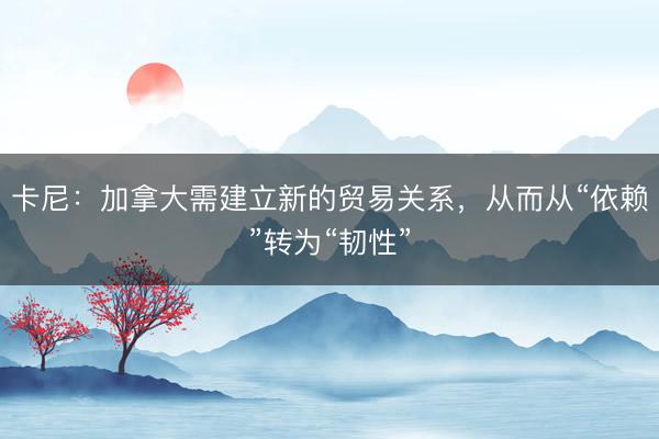 卡尼：加拿大需建立新的贸易关系，从而从“依赖”转为“韧性”
