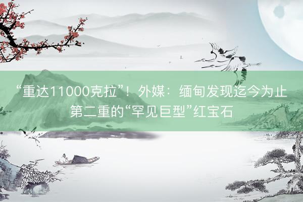 “重达11000克拉”！外媒：缅甸发现迄今为止第二重的“罕见巨型”红宝石