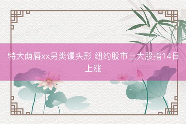 特大荫唇xx另类馒头形 纽约股市三大股指14日上涨