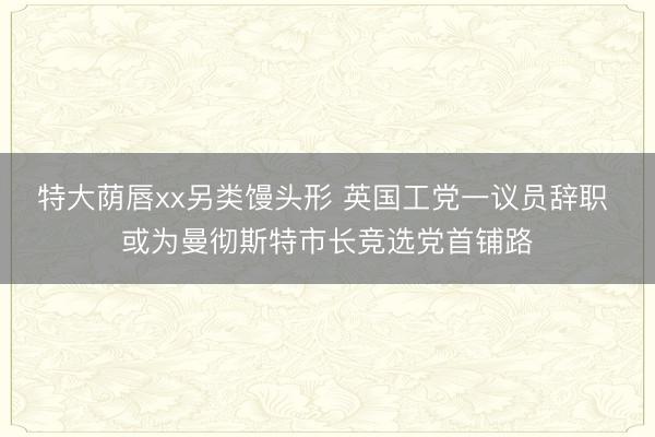 特大荫唇xx另类馒头形 英国工党一议员辞职 或为曼彻斯特市长竞选党首铺路