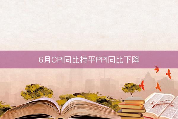 6月CPI同比持平PPI同比下降