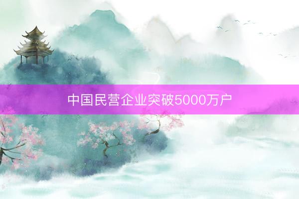 中国民营企业突破5000万户