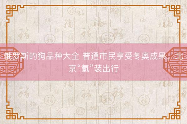 俄罗斯的狗品种大全 普通市民享受冬奥成果，北京“氢”装出行