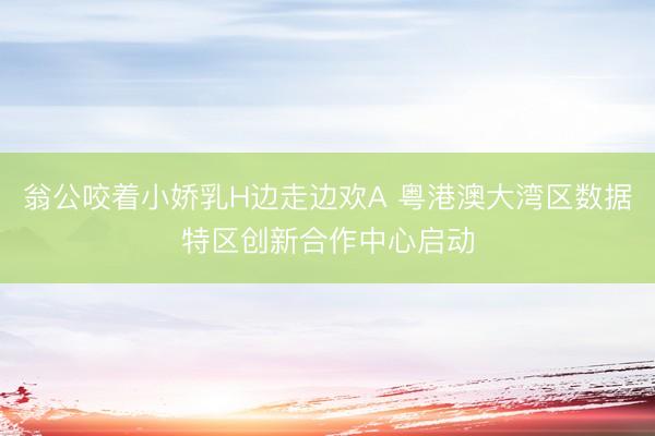 翁公咬着小娇乳H边走边欢A 粤港澳大湾区数据特区创新合作中心启动
