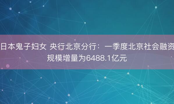 日本鬼子妇女 央行北京分行：一季度北京社会融资规模增量为6488.1亿元