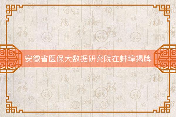 安徽省医保大数据研究院在蚌埠揭牌