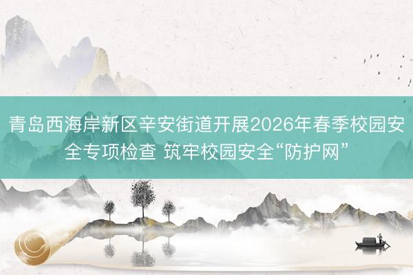 青岛西海岸新区辛安街道开展2026年春季校园安全专项检查 筑牢校园安全“防护网”