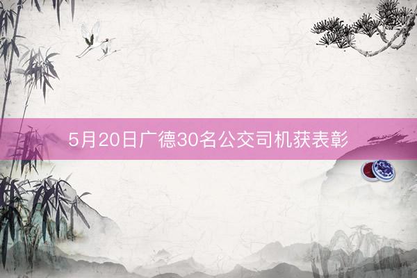 5月20日广德30名公交司机获表彰