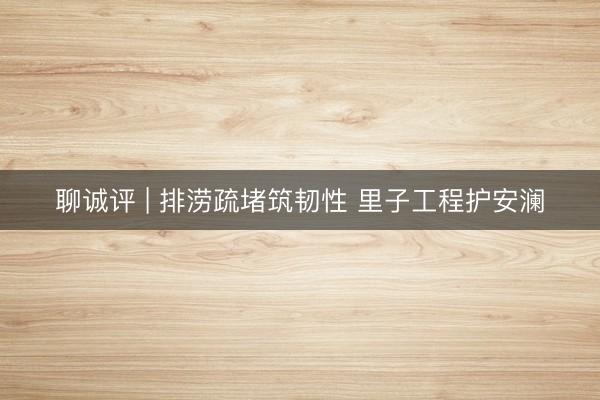 聊诚评 | 排涝疏堵筑韧性 里子工程护安澜