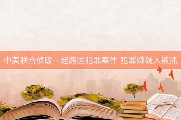 中美联合侦破一起跨国犯罪案件 犯罪嫌疑人被抓
