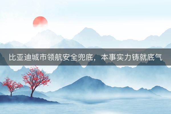 比亚迪城市领航安全兜底，本事实力铸就底气