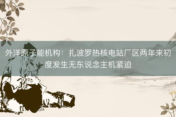 外洋原子能机构：扎波罗热核电站厂区两年来初度发生无东说念主机紧迫