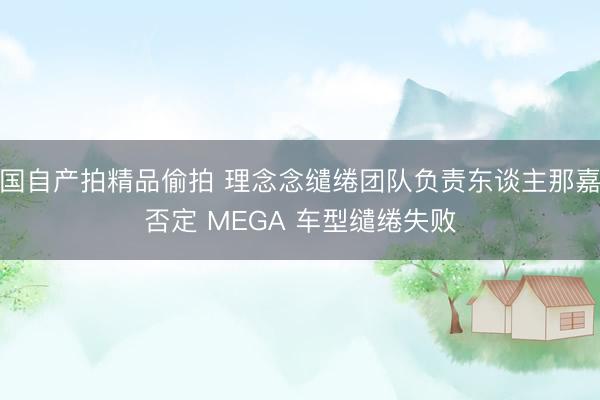 国自产拍精品偷拍 理念念缱绻团队负责东谈主那嘉否定 MEGA 车型缱绻失败