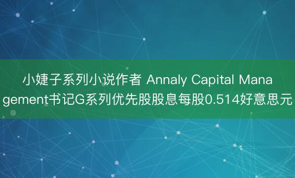 小婕子系列小说作者 Annaly Capital Management书记G系列优先股股息每股0.514好意思元