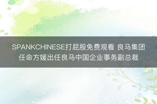 SPANKCHINESE打屁股免费观看 良马集团任命方媛出任良马中国企业事务副总裁