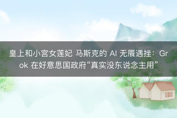 皇上和小宫女莲妃 马斯克的 AI 无餍遇挫：Grok 在好意思国政府“真实没东说念主用”