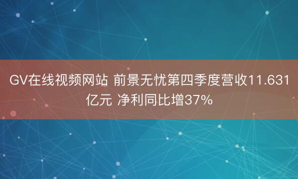 GV在线视频网站 前景无忧第四季度营收11.631亿元 净利同比增37%