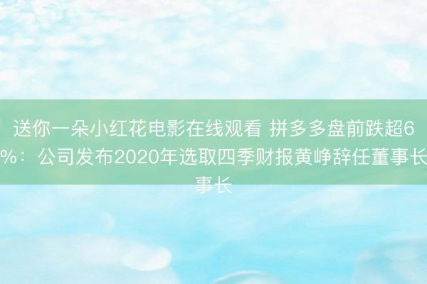送你一朵小红花电影在线观看 拼多多盘前跌超6%：公司发布2020年选取四季财报黄峥辞任董事长