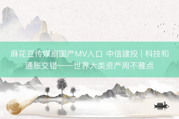 麻花豆传媒剧国产MV入口 中信建投 | 科技和通胀交错——世界大类资产周不雅点