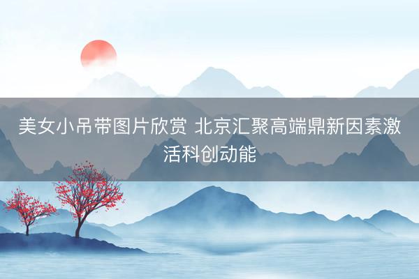 美女小吊带图片欣赏 北京汇聚高端鼎新因素激活科创动能