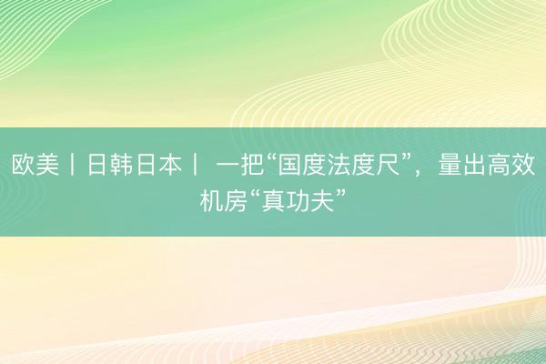 欧美丨日韩日本丨 一把“国度法度尺”，量出高效机房“真功夫”