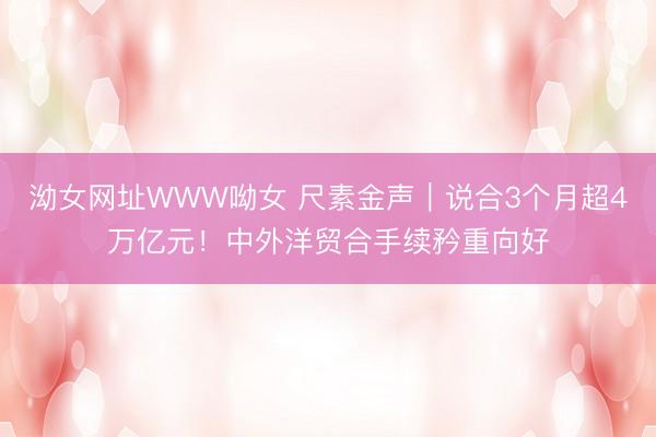 泑女网址WWW呦女 尺素金声|说合3个月超4万亿元!中外洋贸合手续矜重向好