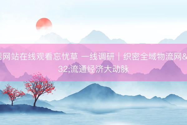 污网站在线观看忘忧草 一线调研｜织密全域物流网 流通经济大动脉