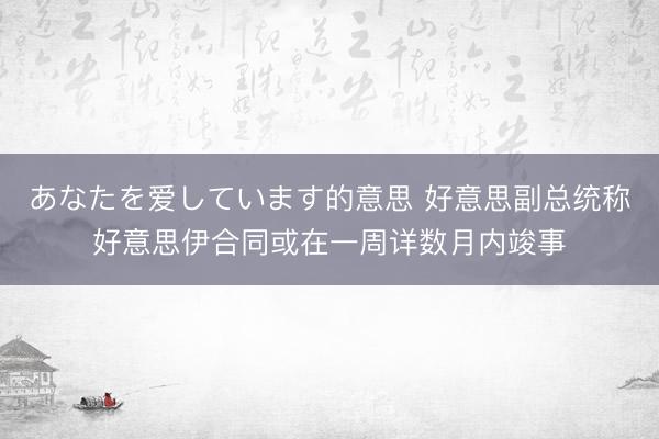 あなたを爱しています的意思 好意思副总统称好意思伊合同或在一周详数月内竣事