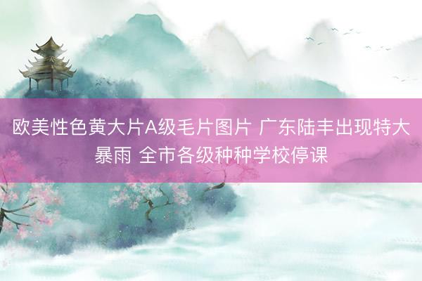 欧美性色黄大片A级毛片图片 广东陆丰出现特大暴雨 全市各级种种学校停课