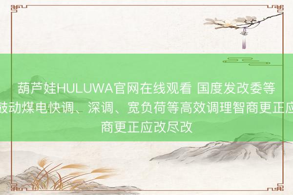 葫芦娃HULUWA官网在线观看 国度发改委等部门：鼓动煤电快调、深调、宽负荷等高效调理智商更正应改尽改