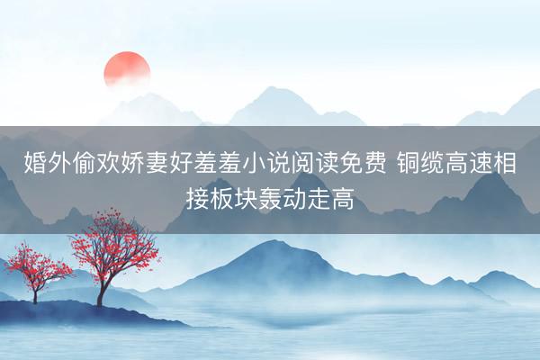 婚外偷欢娇妻好羞羞小说阅读免费 铜缆高速相接板块轰动走高
