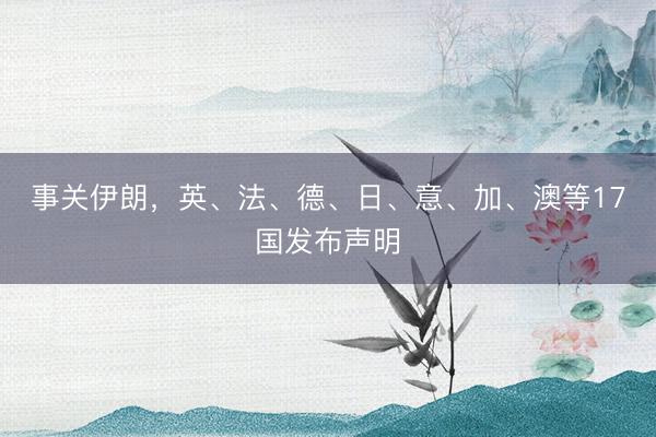 事关伊朗，英、法、德、日、意、加、澳等17国发布声明