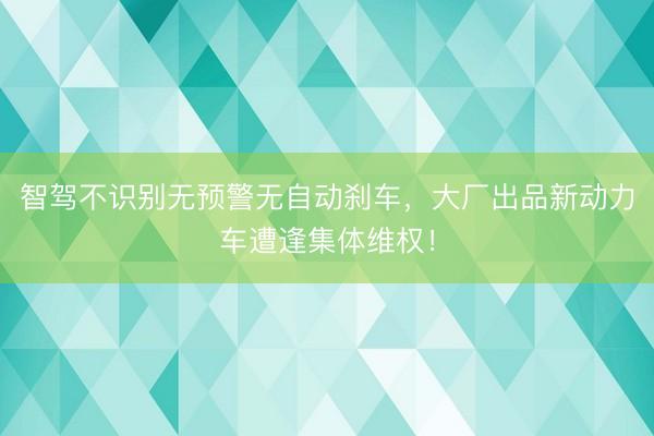 智驾不识别无预警无自动刹车，大厂出品新动力车遭逢集体维权！