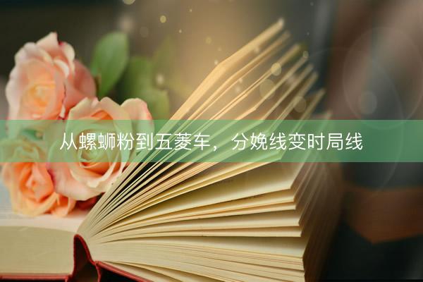 从螺蛳粉到五菱车，分娩线变时局线